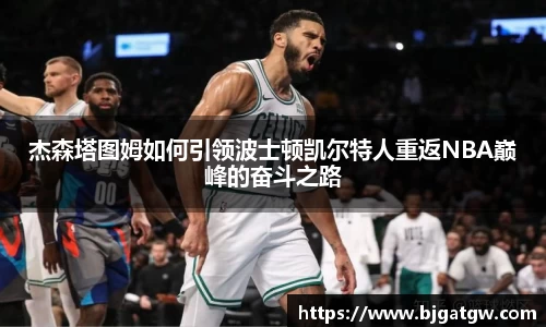 星空·综合体育官方网站