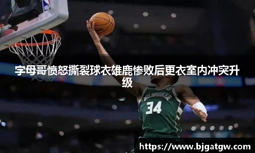 星空·综合体育官方网站