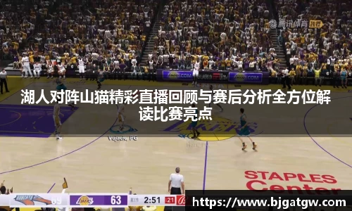 湖人对阵山猫精彩直播回顾与赛后分析全方位解读比赛亮点
